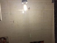 IMG 0065