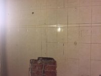 IMG 0070