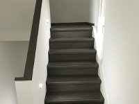 IMG 0102